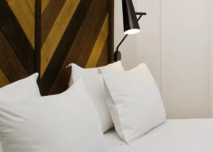 帕崔克维诺特卡酒店 酒店